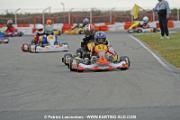_DSC4311 copie